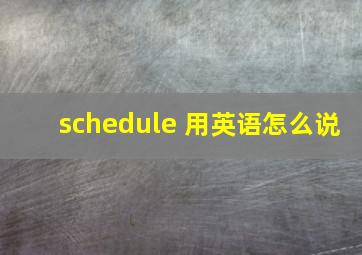 schedule 用英语怎么说